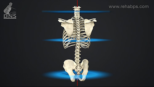 Postural Stabilization – Physiology