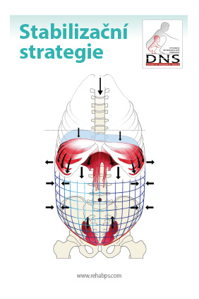 Stabilizační strategie